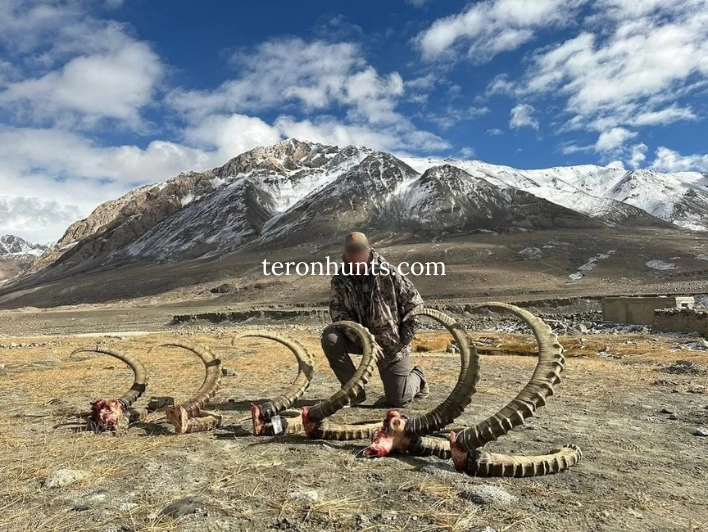 Hunter taking picture with his hunted mid-asian ibex in Tajikistan, example of successful client of Teron who went mid-asian ibex hunting in Tajikistan