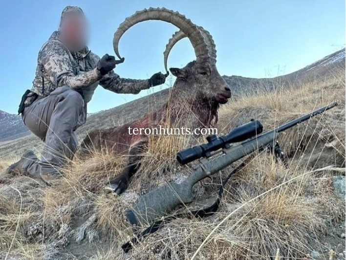 Hunter taking picture with his hunted mid-asian ibex in Tajikistan, example of successful client of Teron who went mid-asian ibex hunting in Tajikistan