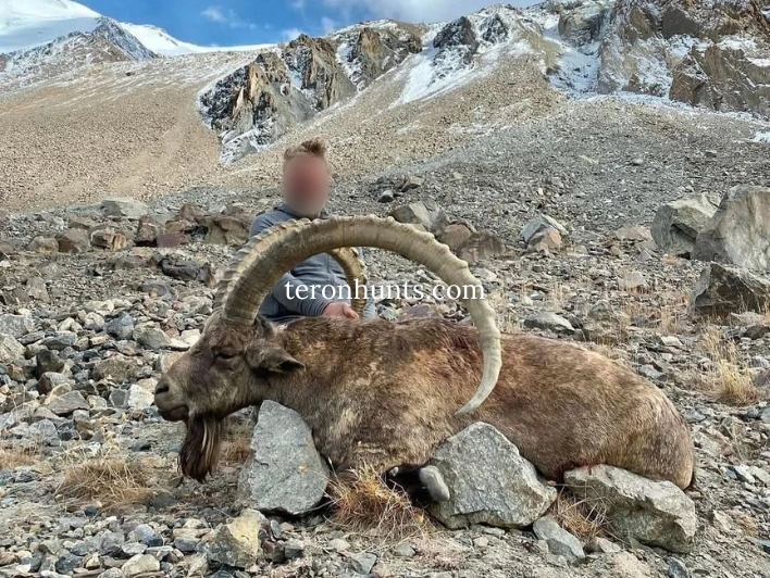 Hunter taking picture with his hunted mid-asian ibex in Tajikistan, example of successful client of Teron who went mid-asian ibex hunting in Tajikistan