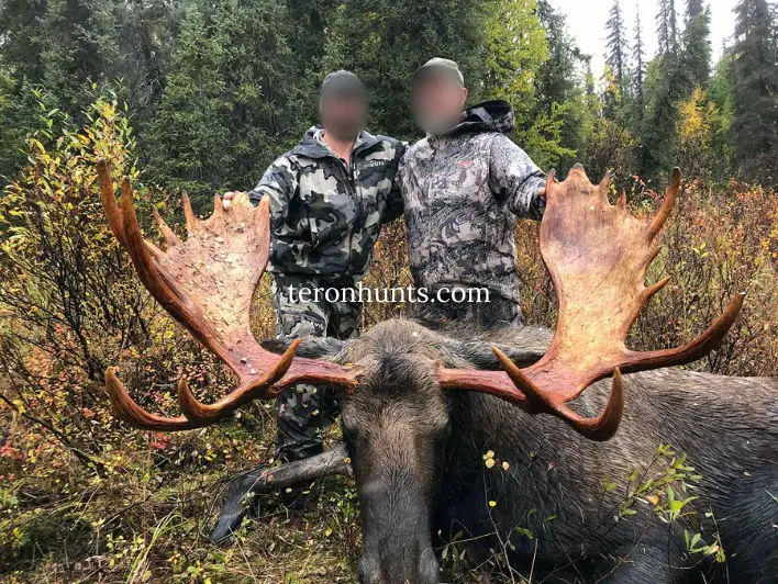 Hunter taking picture with his hunted moose in Alaska USA, example of successful client of Teron who went moose hunting in Alaska USA