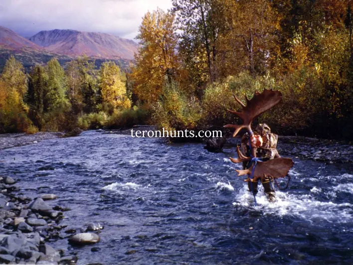 Hunter taking picture with his hunted moose in Alaska USA, example of successful client of Teron who went moose hunting in Alaska USA