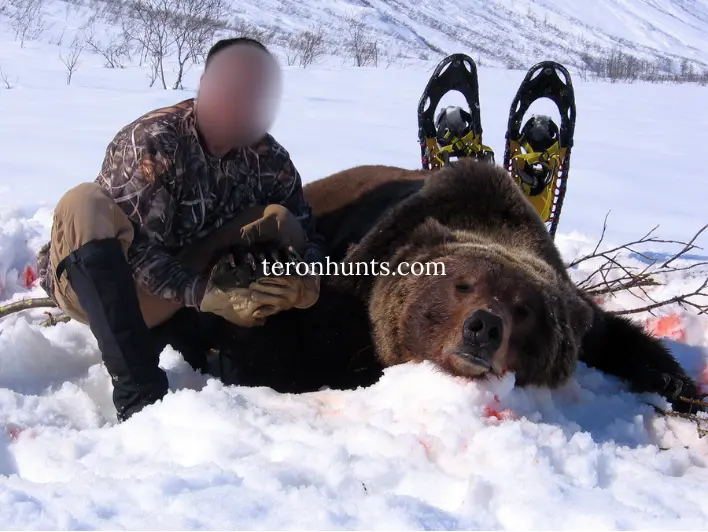 Hunter taking picture with his hunted moose in Alaska USA, example of successful client of Teron who went moose hunting in Alaska USA