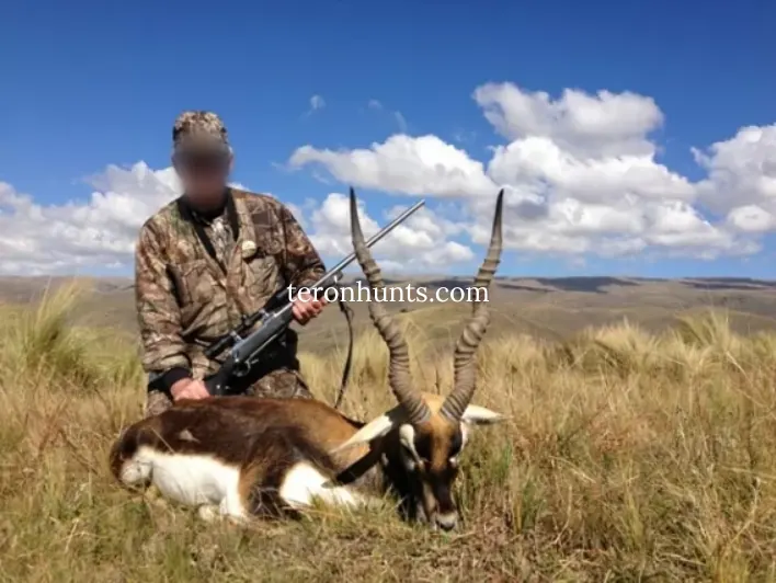 Hunter taking picture with his hunted blackbuck in Argentina, example of successful client of Teron who went blackbuck hunting in Argentina