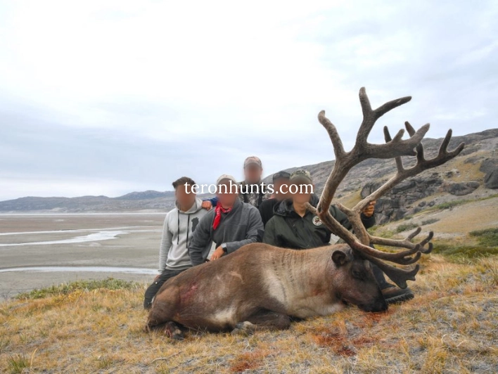 Hunter taking picture with his hunted caribou in Greenland, example of successful client of Teron who went caribou hunting in Greenland