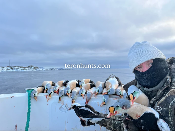 Hunter taking picture with his hunted king eider in Greenland, example of successful client of Teron who went king eider hunting in Greenland