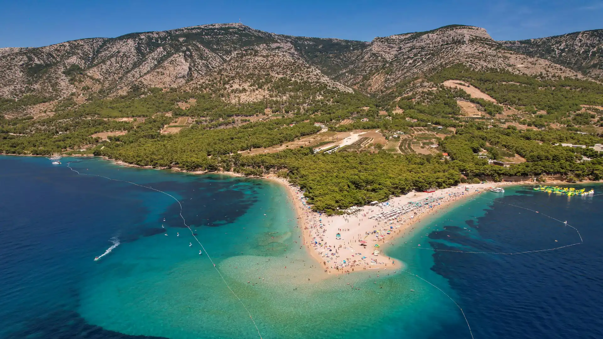 Island Brač, hunting ground for mouflon